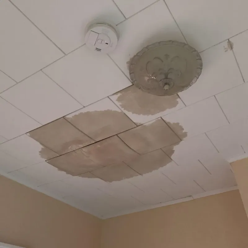 Ceiling Water Damage Repair in Sawmills, NC